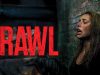 Crawl 2019