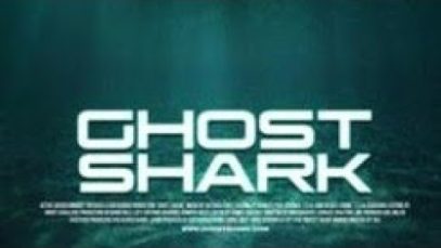 invisible shark