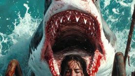 3bf2dcd6-adfe-44f4-a242-bab962a20123